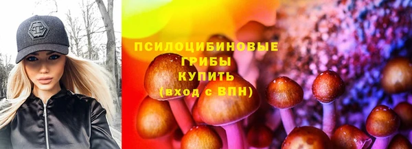 твердый Белоозёрский